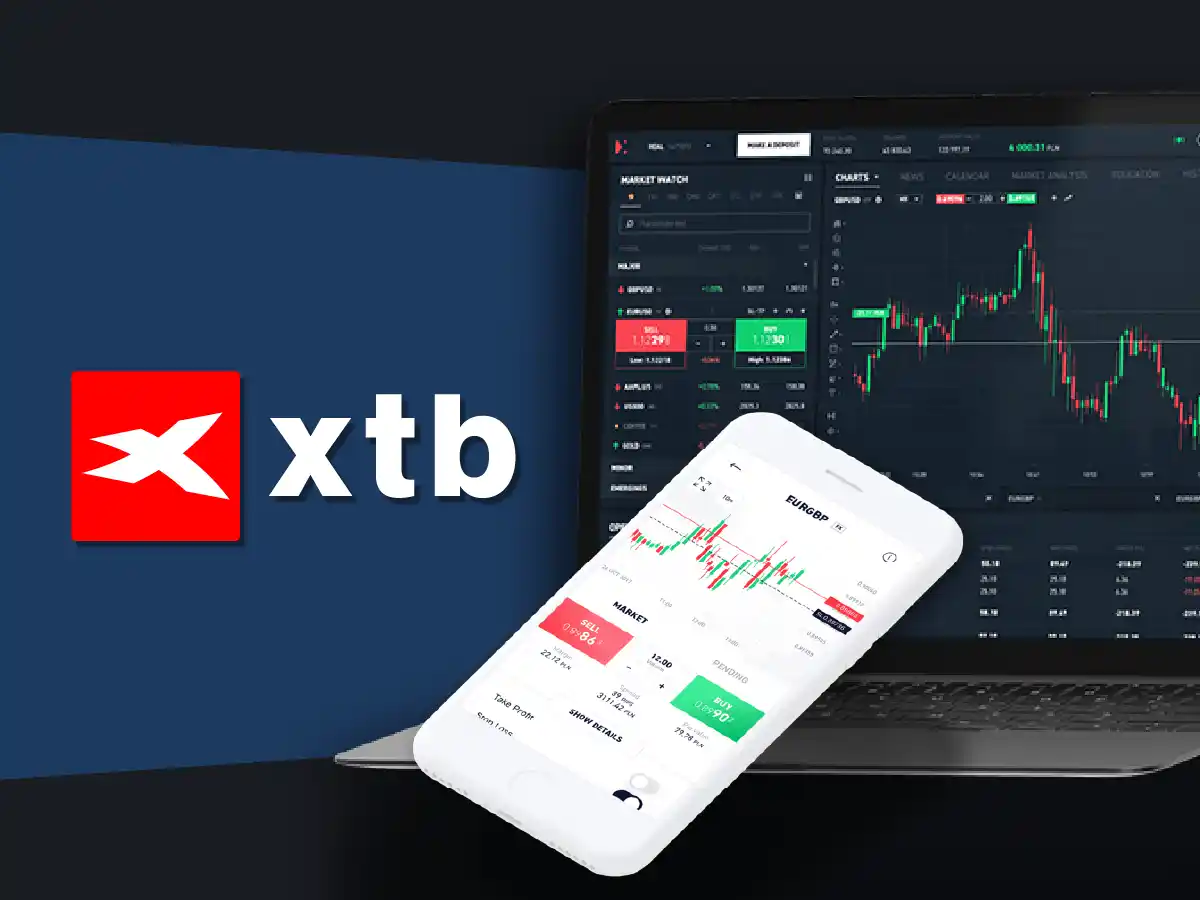 XTB Support và cách liên hệ XTB Support nhanh chóng, tiện lợi